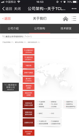 TCL手机网站建设项目